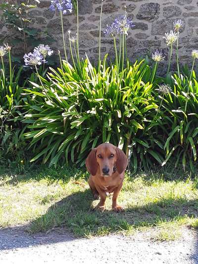 Doppelgänger gesucht !-Beitrag-Bild