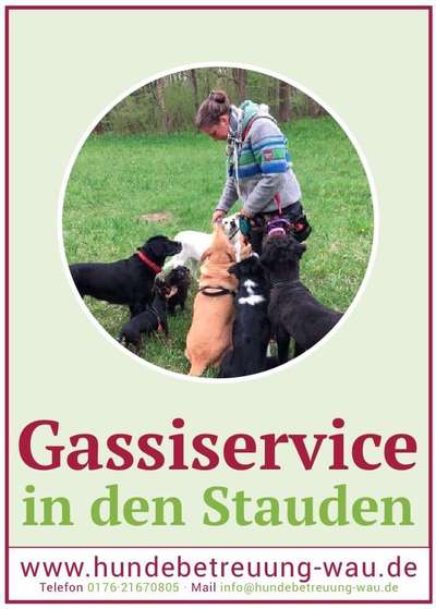 %{de_profession_title}-Gassiservice in den Stauden-Bild