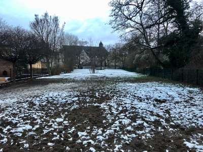 Hundeauslaufgebiet-Augustapromenade-Bild