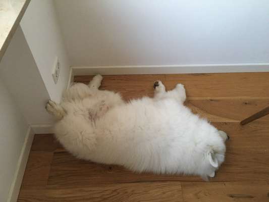 Verrückte Schlafpositionen-Beitrag-Bild