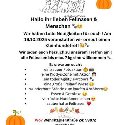 Hundetreffen-Kleinhundetreffen im Sauerland-Bild