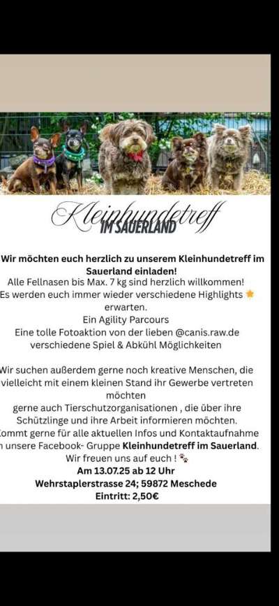 Hundetreffen-Kleinhundetreff im Sauerland-Bild