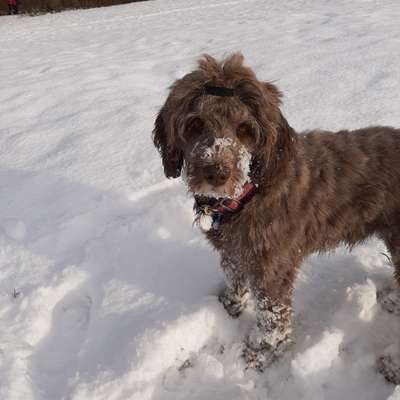 Fotochallenge Nr.100 Urlaubsimpressionen-Beitrag-Bild