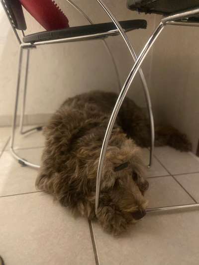 4. Lustiger Schlafplatz-Beitrag-Bild