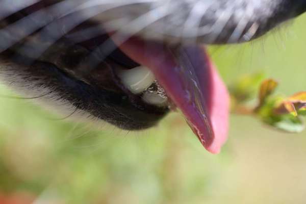 Blick fürs Detail!-Beitrag-Bild