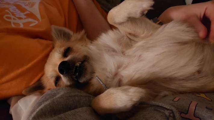 CHALLENGE NR. 34 - Liege-/Schlafpositionen-Beitrag-Bild