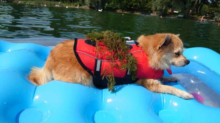 FOTOCHALLANGE NR.71 BADEFREUDE-Beitrag-Bild