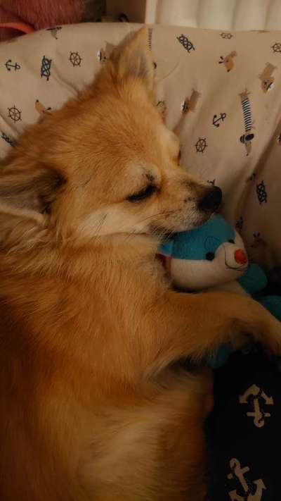 Foto Challenge die Vierte-Beitrag-Bild