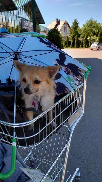 Fotochallenge No. 5-Beitrag-Bild