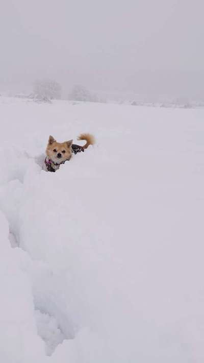 Challenge Nr. 15
Spiel im Schnee-Beitrag-Bild