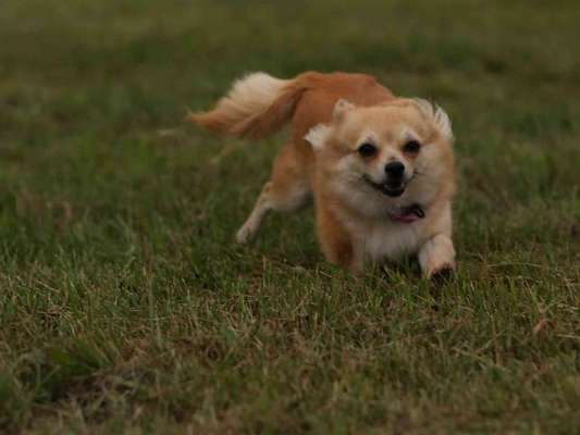 Challenge Nr. 10: "Das schönste Lächeln"-Beitrag-Bild