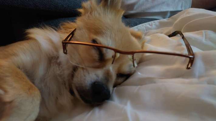 Zauber des Alters-Beitrag-Bild