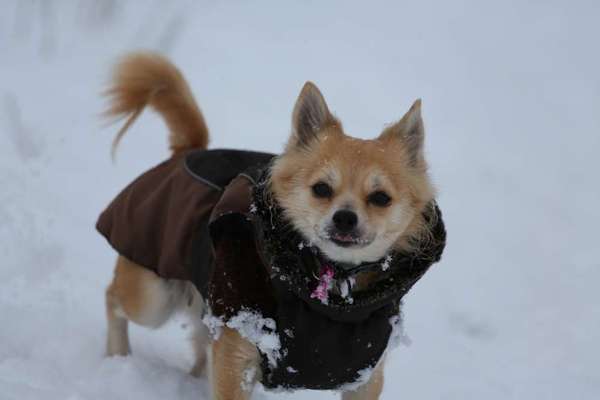 Zeigt euer coolstes winteroutfit-Beitrag-Bild