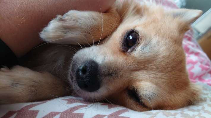 Fotochallenge Nr. 56 - geliebte Senioren-Beitrag-Bild