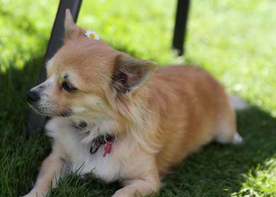 Fotochallenge 78

Es grünt und blüht-Beitrag-Bild