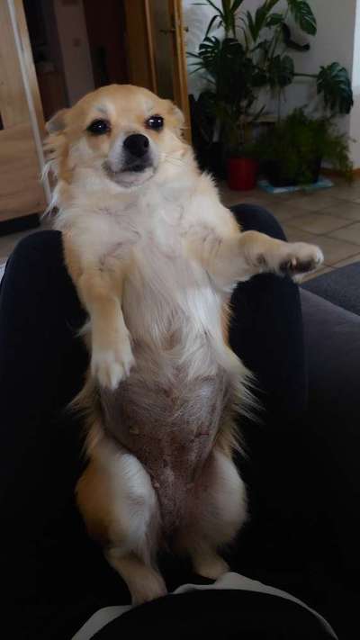 Fotochallenge Nr.65-Beitrag-Bild