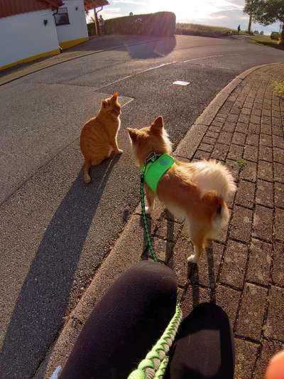 CHALLENGE Nr.17-Beitrag-Bild