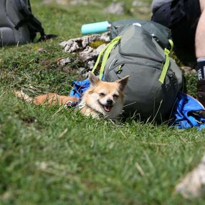 42.Fotochallenge - Eure schönen Momente beim Spaziergang-Beitrag-Bild