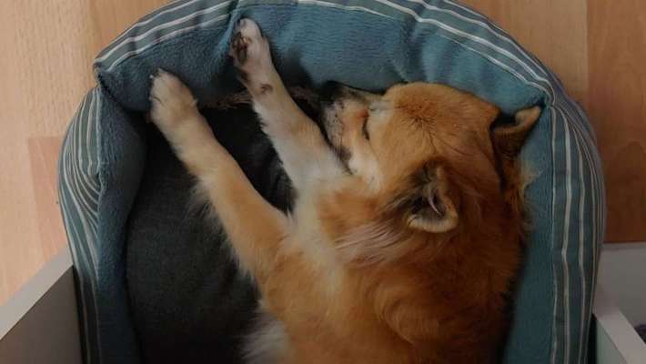 Die unbequemsten und lustigsten Schlafpositionen-Beitrag-Bild