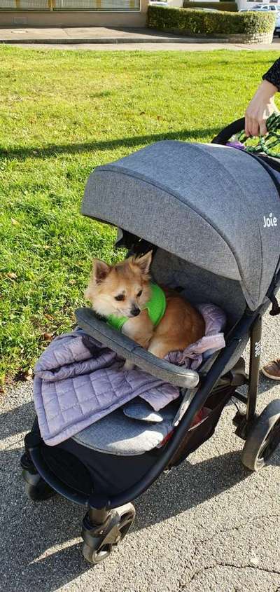 CHALLENGE NR. 18 - ON TOUR-Beitrag-Bild