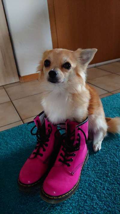 Fotochallenge Nr. 29 - Accessoires-Beitrag-Bild