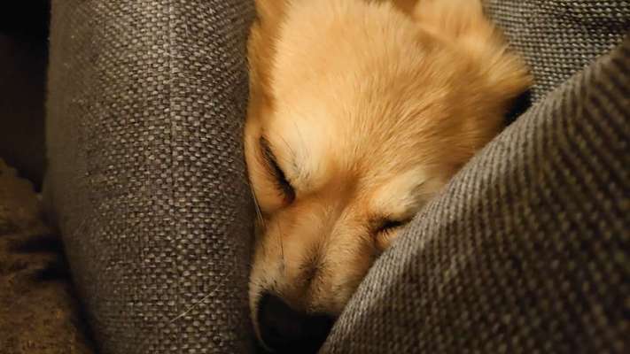 Challenge 21 - wo bin ich : )-Beitrag-Bild