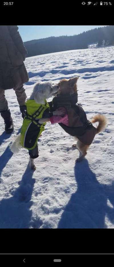 Fotochallenge Nr. 62 Romantische Momente-Beitrag-Bild