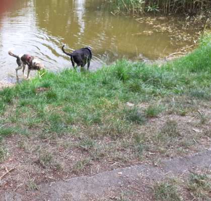 Foto Challenge - BEENDET - bitte aktuelle Challenge nutzen-Beitrag-Bild