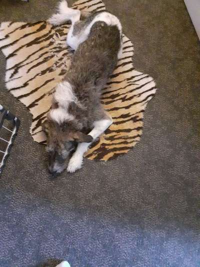 Die unbequemsten und lustigsten Schlafpositionen-Beitrag-Bild