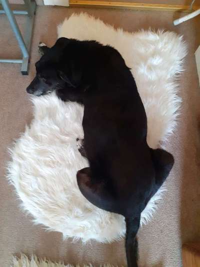 Die unbequemsten und lustigsten Schlafpositionen-Beitrag-Bild