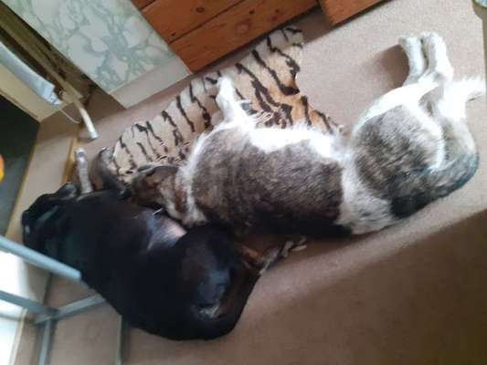 Die unbequemsten und lustigsten Schlafpositionen-Beitrag-Bild