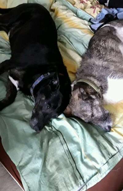 Die unbequemsten und lustigsten Schlafpositionen-Beitrag-Bild