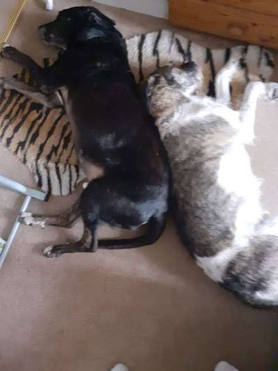 Die unbequemsten und lustigsten Schlafpositionen-Beitrag-Bild