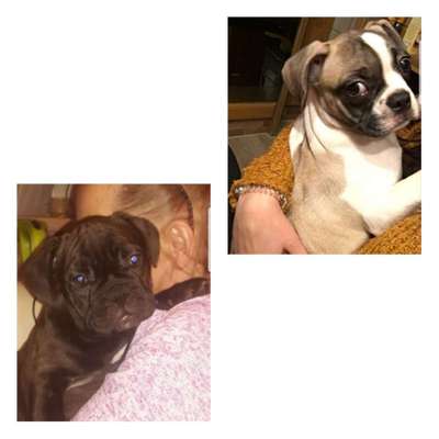 Das erste Foto-Beitrag-Bild