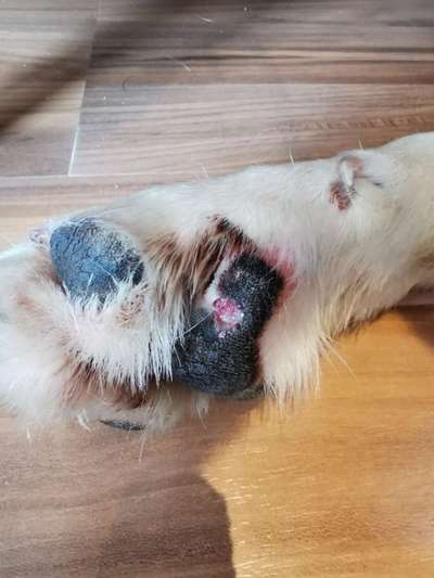 Schnittverletzung-Beitrag-Bild