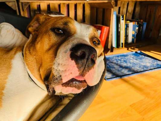 Foto Challange Nr.80-Beitrag-Bild