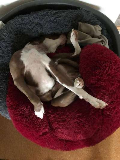 Foto Challange Nr.80-Beitrag-Bild