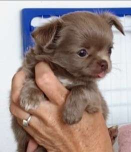 Lieblingsbild-Beitrag-Bild