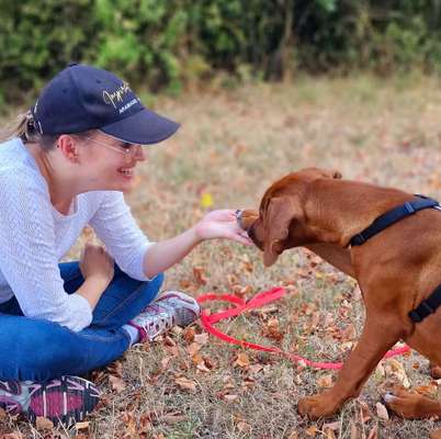 Hundetreffen-Social Walk in Haigerloch/Balingen-Bild