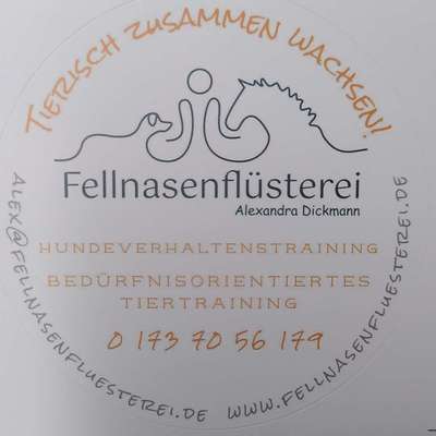 %{de_profession_title}-Geräteturnen-Bild
