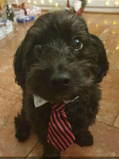 Zeigt mir eure Lieblingsfotos ♡♡-Beitrag-Bild