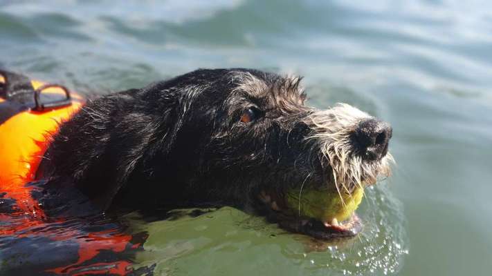 Zeigt mir eure Lieblingsfotos ♡♡-Beitrag-Bild