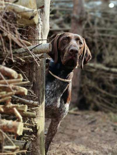 Zeigt mir eure Lieblingsfotos ♡♡-Beitrag-Bild