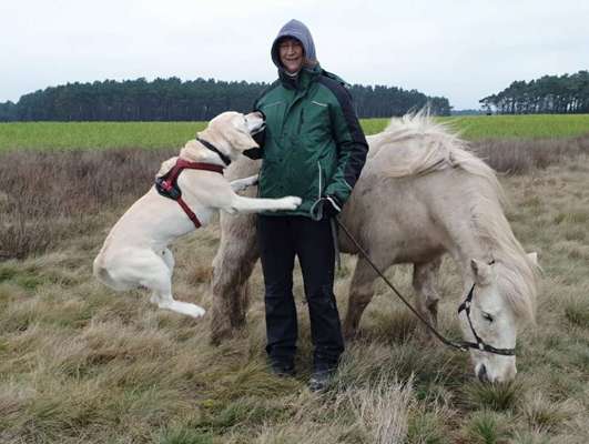 Zeigt mir eure Lieblingsfotos ♡♡-Beitrag-Bild