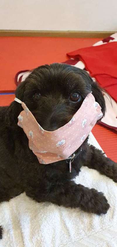 Zeigt mir eure Lieblingsfotos ♡♡-Beitrag-Bild