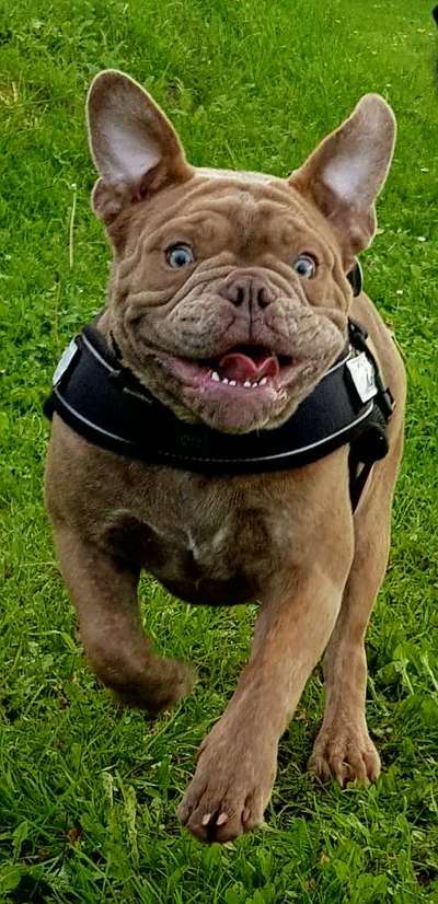 Zeigt mir eure Lieblingsfotos ♡♡-Beitrag-Bild