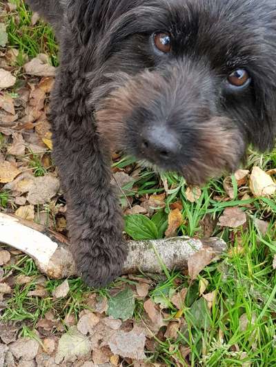 Zeigt mir eure Lieblingsfotos ♡♡-Beitrag-Bild