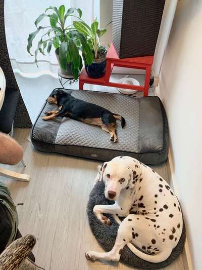 Die unbequemsten und lustigsten Schlafpositionen-Beitrag-Bild