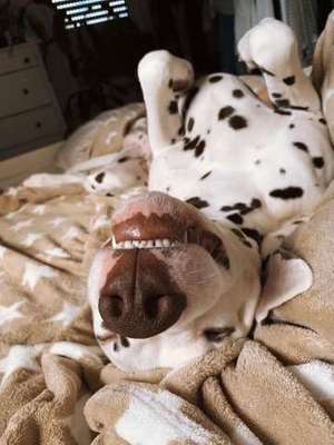 Die unbequemsten und lustigsten Schlafpositionen-Beitrag-Bild