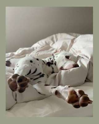 Die unbequemsten und lustigsten Schlafpositionen-Beitrag-Bild